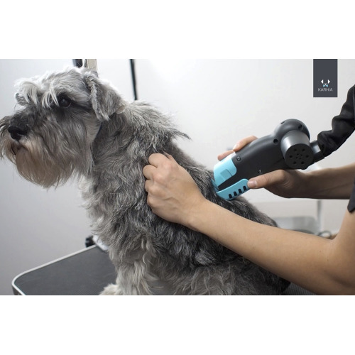 Emotion Jolly En begivenhed Karhia Pro Nappemaskin, elektrisk trimmer for en trådhåret hund, koblet til  en støvsuger med beholder for pels | Hundefrisør butikk